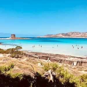 https://stintino-villetta-indipendente.in-sardinia.net